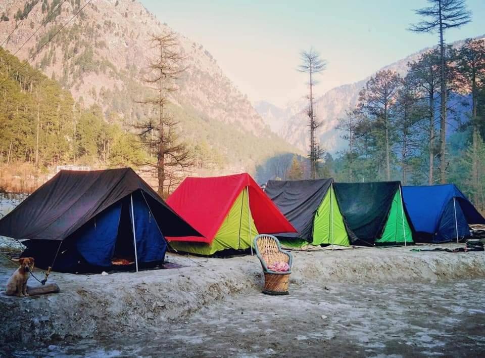 Stayhigh Camps & Cottages Kasol Exterior foto