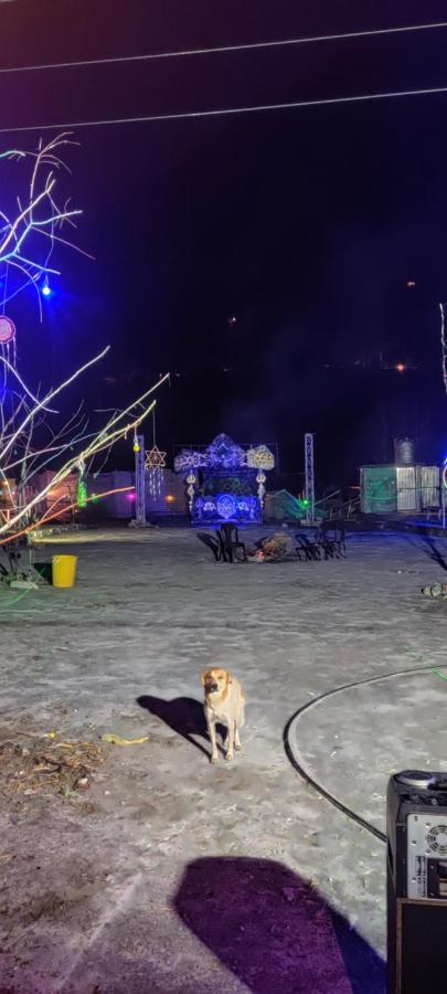 Stayhigh Camps & Cottages Kasol Exterior foto